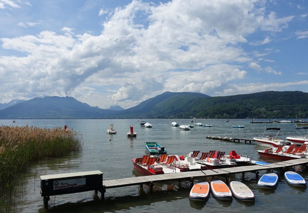 Studio in Annecy-le-Vieux - Bed & Nuts parking, vue splendide et plage à