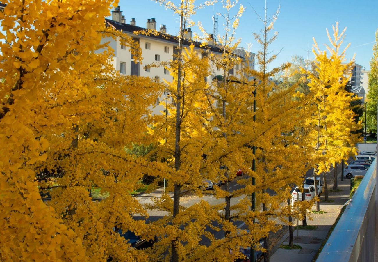 Studio in Annecy - Millenium parking privé