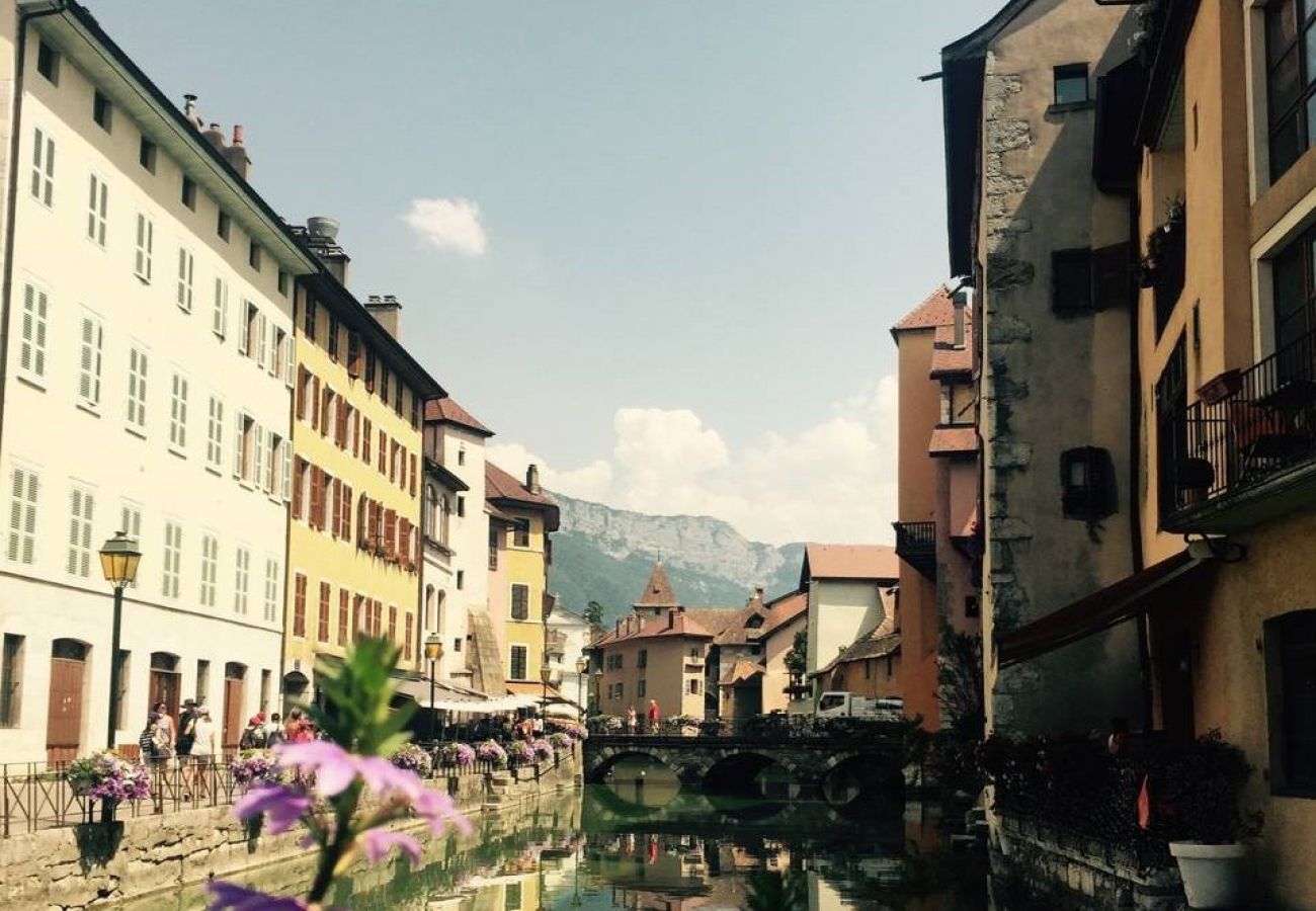 Apartment in Annecy - Filaterie vieille ville  romantique