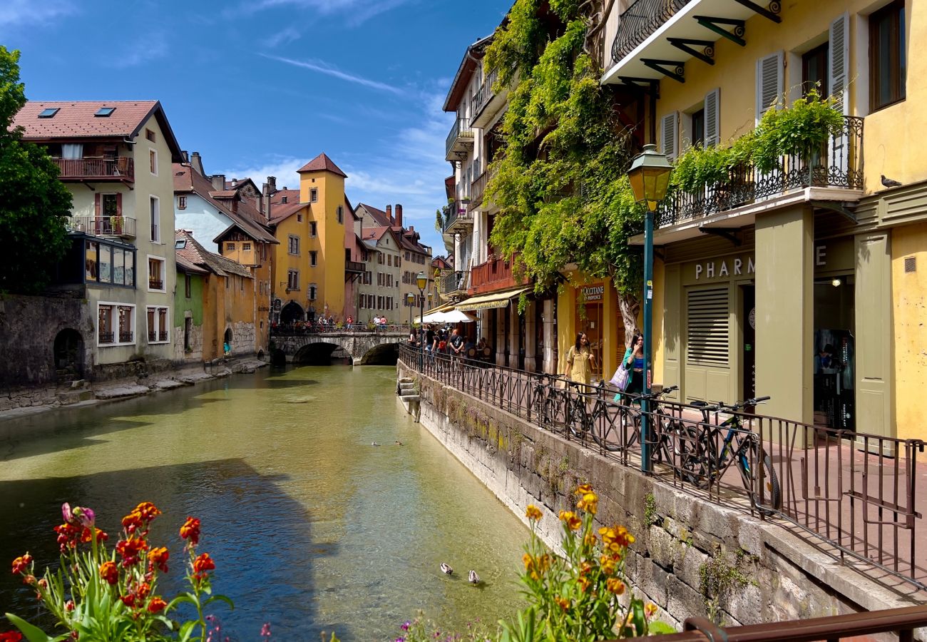 Apartment in Annecy - Nemours du château emplacement de rêve