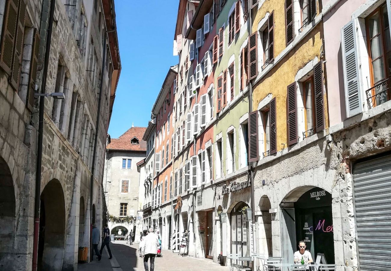 Apartment in Annecy - Manoir 2 chambres vieille ville