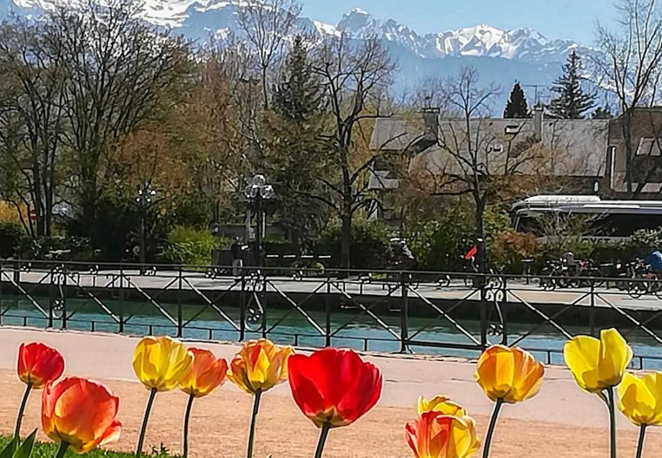 Apartment in Annecy - Manoir 2 chambres vieille ville