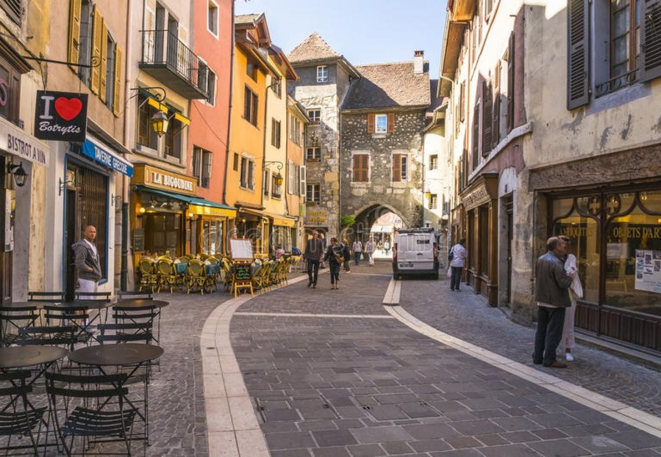 Studio in Annecy - Lilas Rose vieille ville charme incroyable