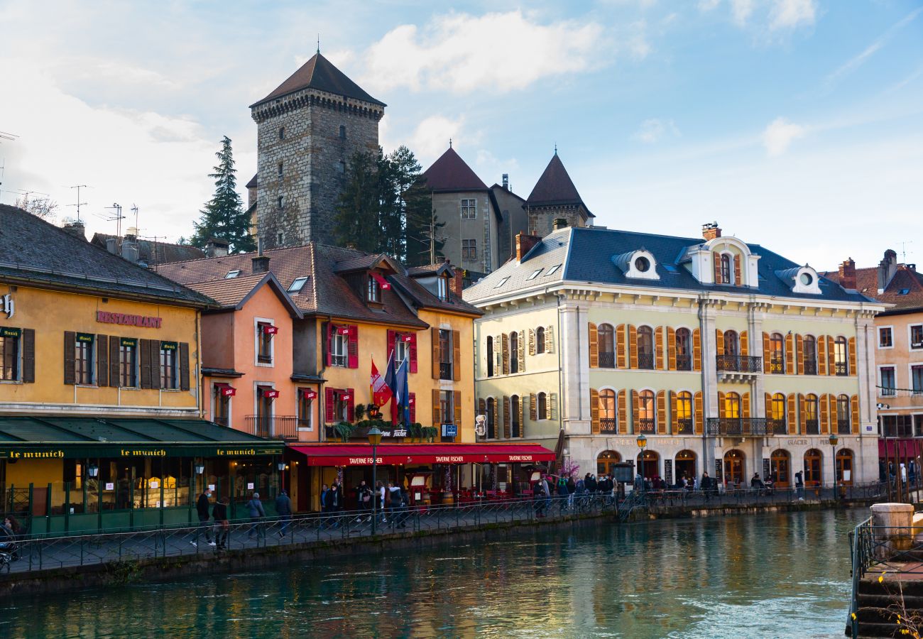 Studio in Annecy - Muse rue perrière jacuzzi