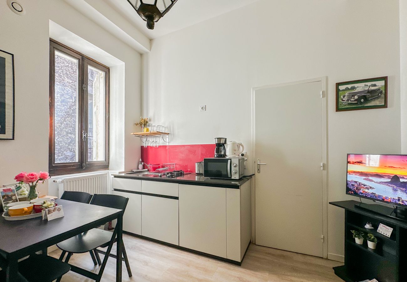 Apartment in Annecy - Beethoven Super emplacement vieille ville