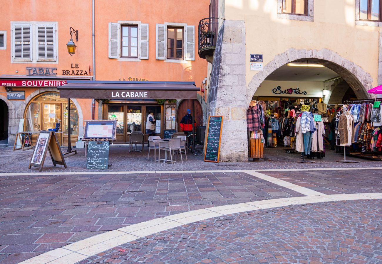 Apartment in Annecy - Duc magnifique place Sainte Claire