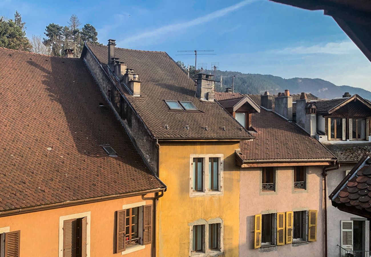 Studio in Annecy - Perchoir meilleur emplacement vieille ville