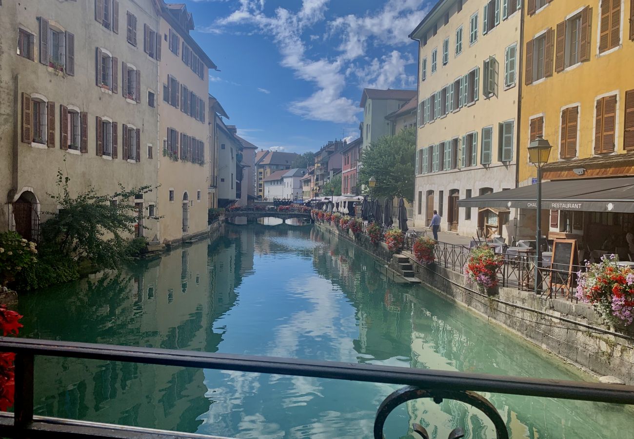 Apartment in Annecy - Balnéo village rue sainte claire