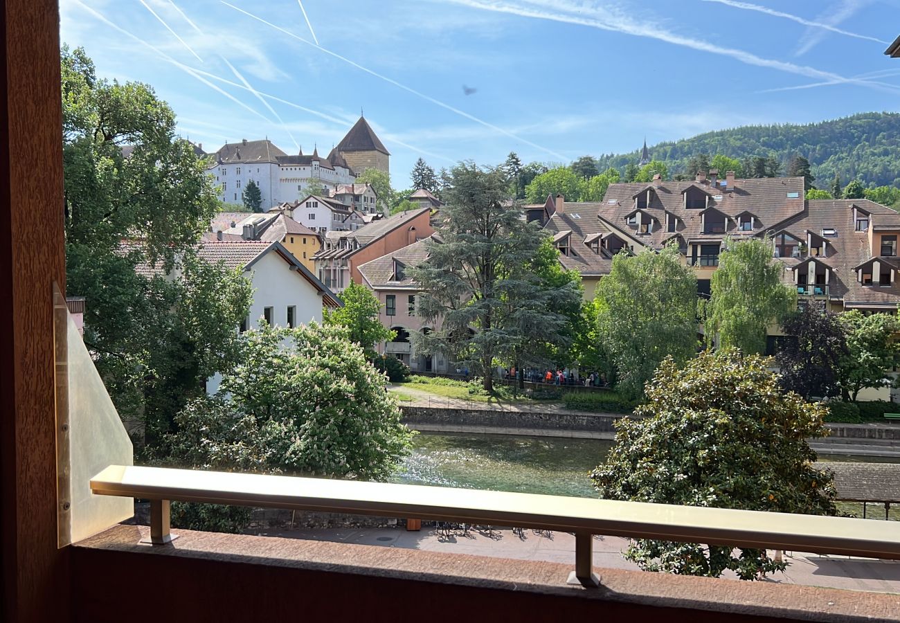 Apartment in Annecy - Paloma vue Château et Thiou