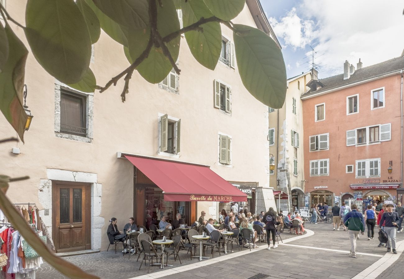 Apartment in Annecy - Chez Violette