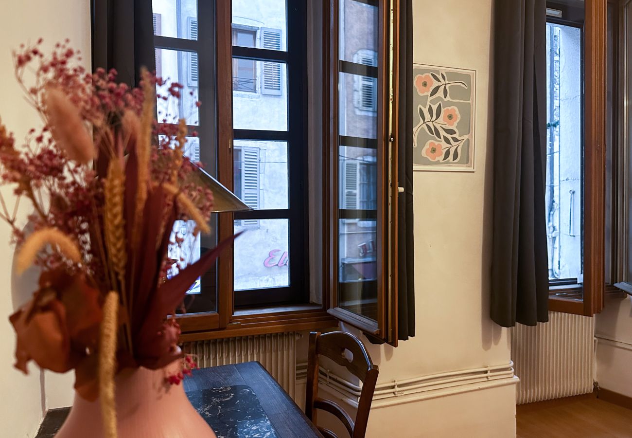 Apartment in Annecy - Edelweiss rue carnot