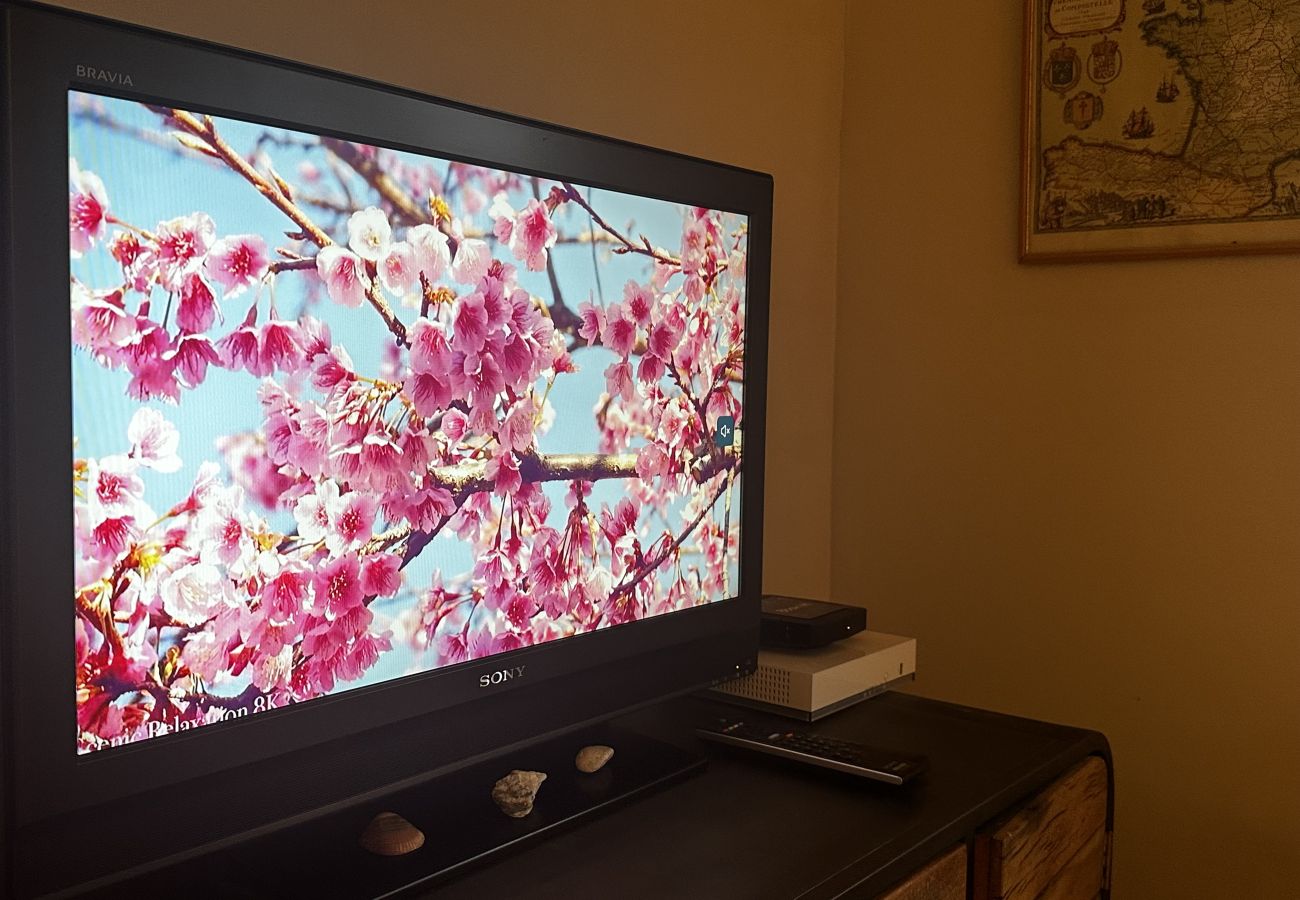 Apartment in Annecy - Lotus au calme proche de courrier