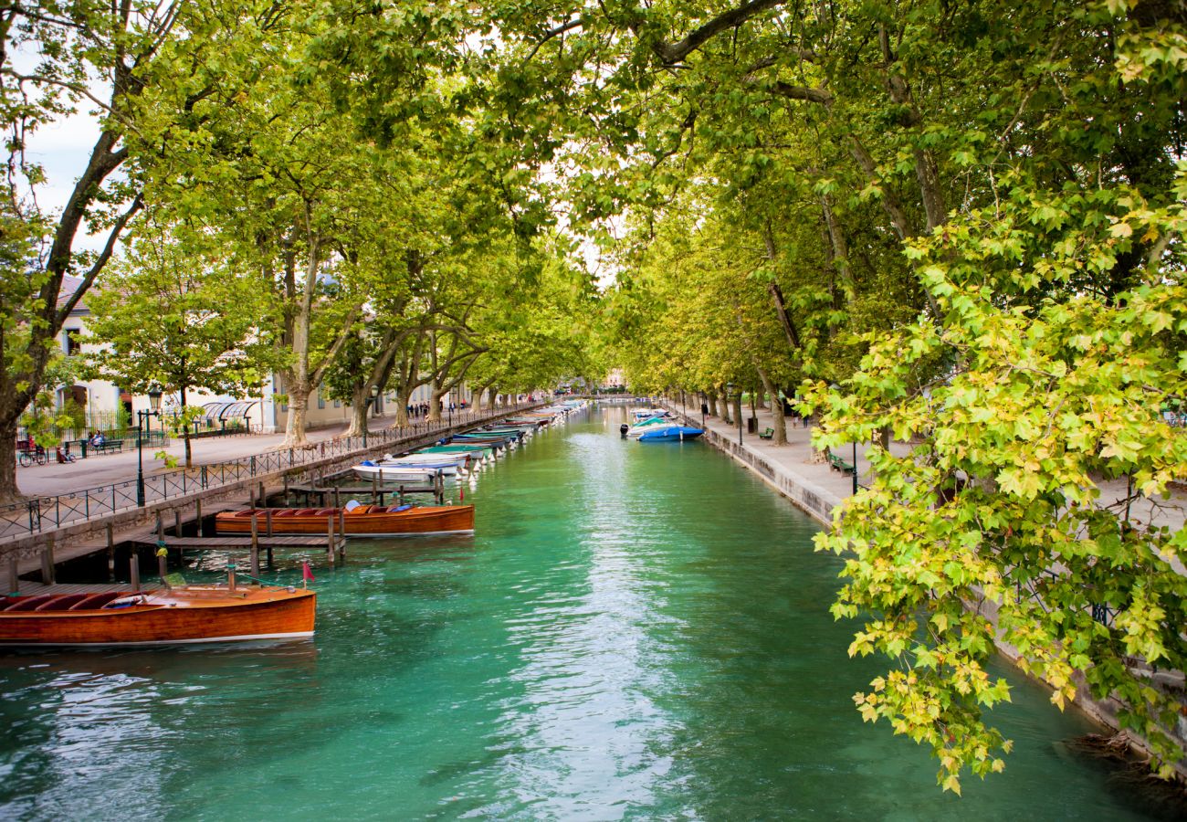 Apartment in Annecy - Eden à 50 m du lac