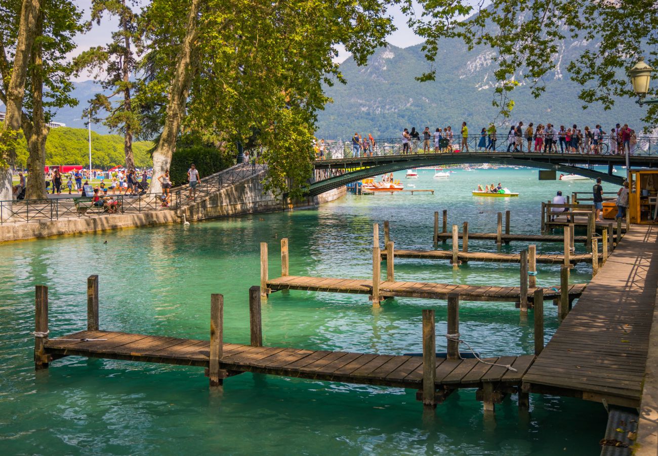 Apartment in Annecy - Paquerette vieille ville rue du Paquier