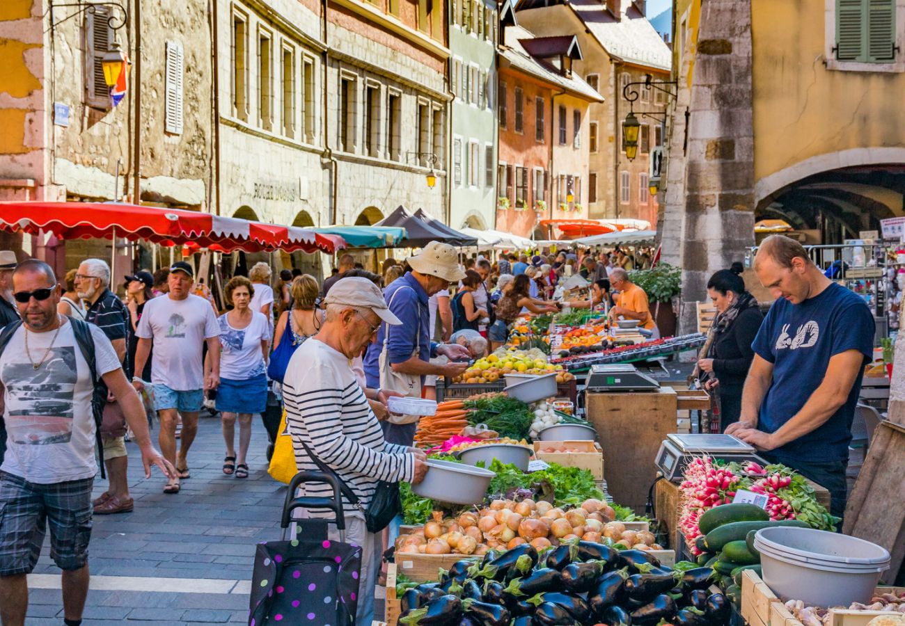 Studio in Annecy - Piccolo rue Carnot