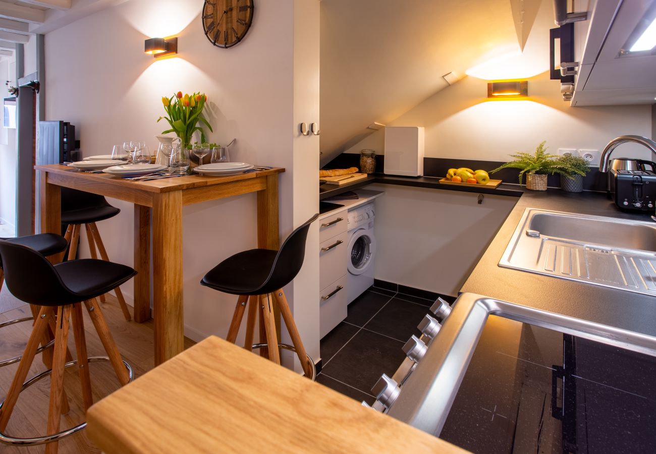 Apartment in Annecy - Petit Swan rue carnot