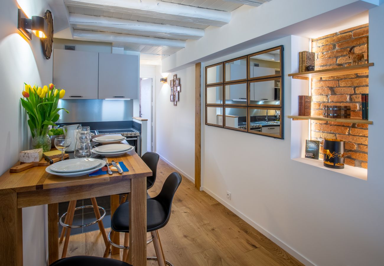 Apartment in Annecy - Petit Swan rue carnot