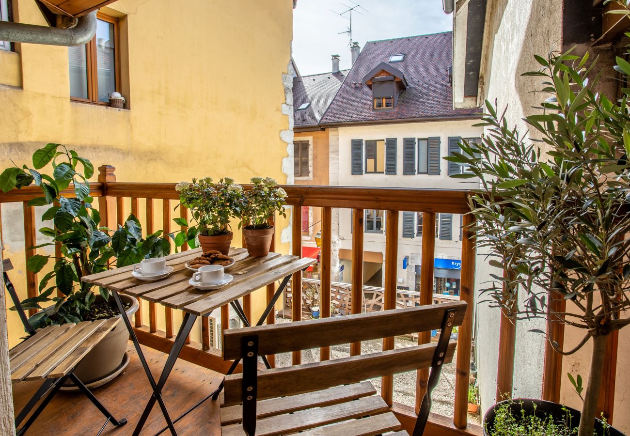 Apartment in Annecy - Petit Swan rue carnot