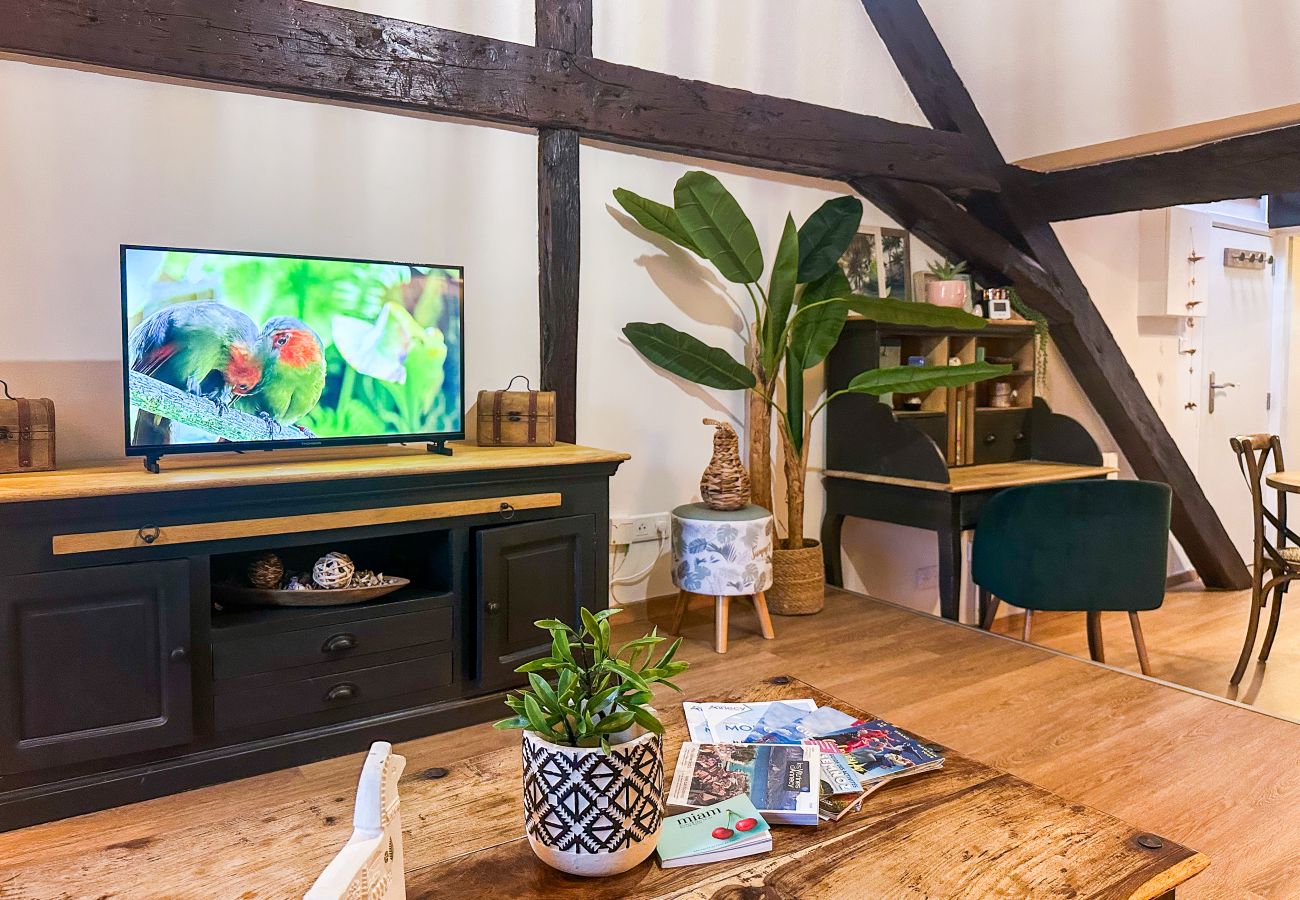 Apartment in Annecy - Casa Jungle loft rue du Paquier