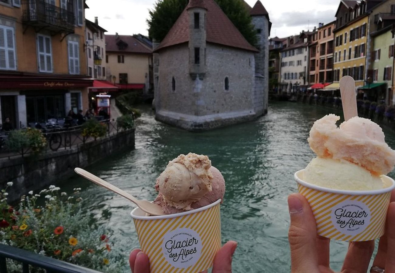 Studio à Annecy - Muse rue perrière jacuzzi