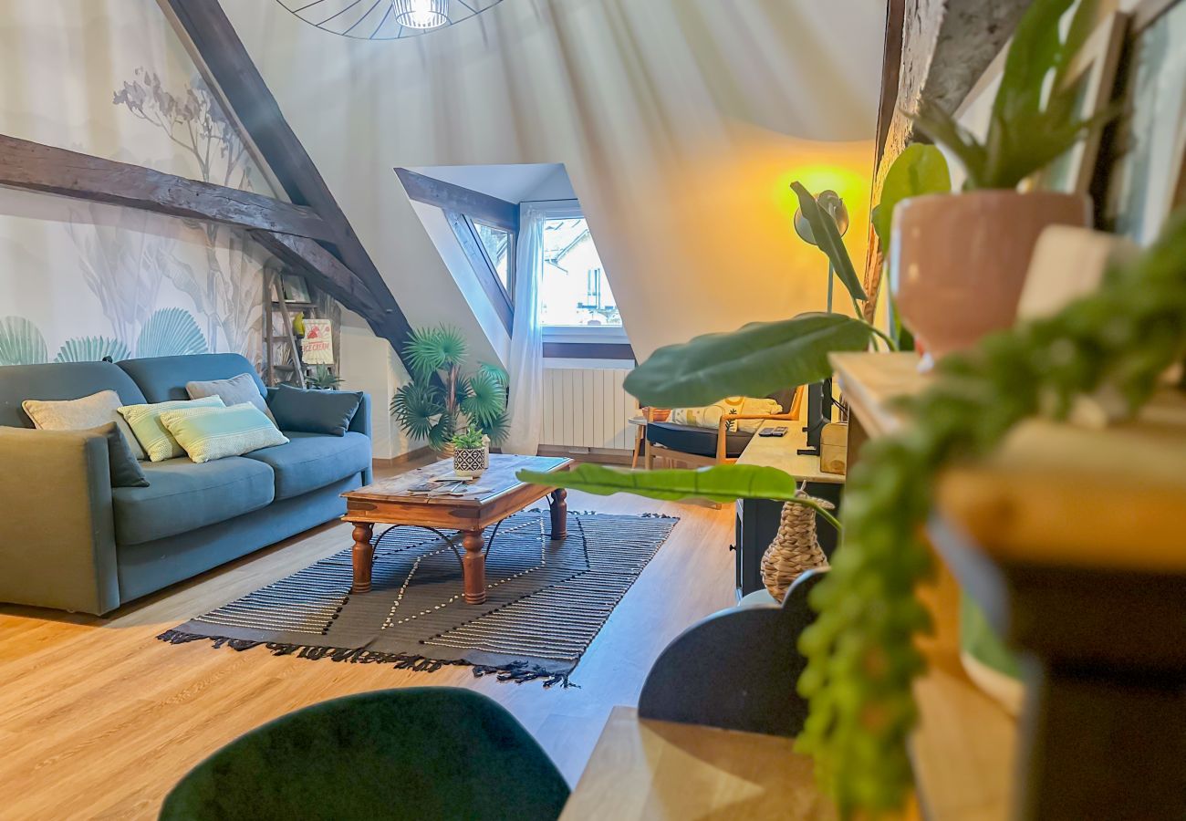 Appartement à Annecy - Casa Jungle loft rue du Paquier